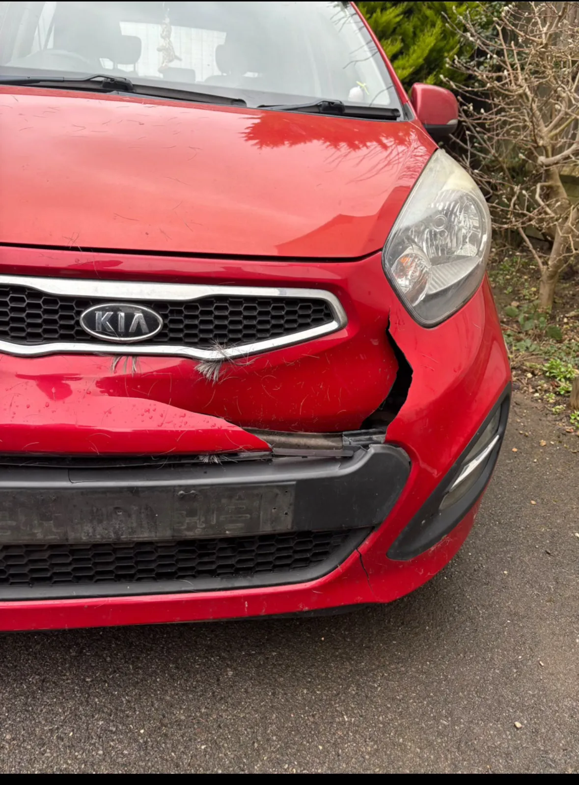 The front of a red car with a dented front bumper.